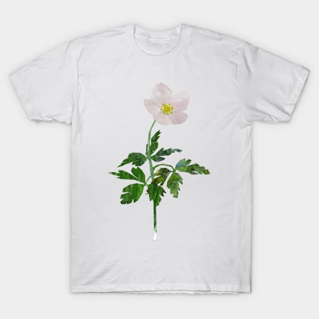 Wood anemone T-Shirt by Babban Gaelg